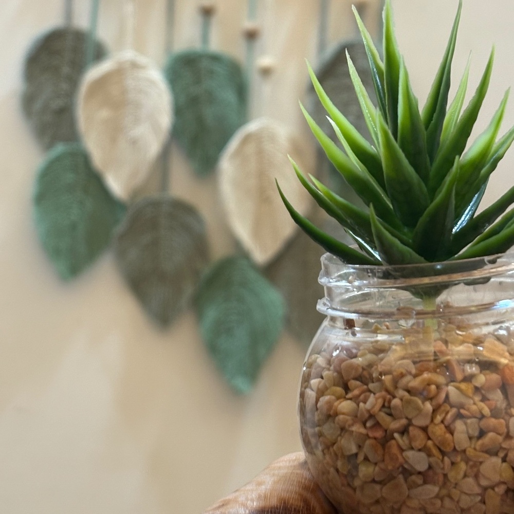 Plant